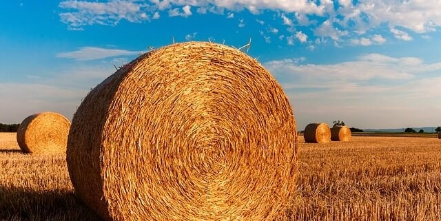 landwirtschaft