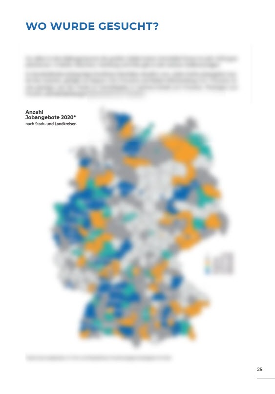 Beispielscreenshot der Stellenmarktsituation des Jahres 2020 Wo wurde gesucht?