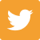 Twitter Bird Icon